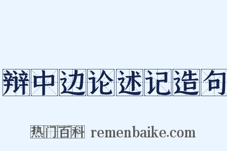 辩中边论述记造句是什么意思的图片
